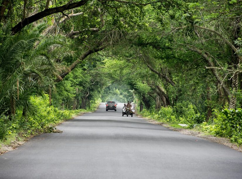 Scenic Roads and Routes for Road Trippers in Milan